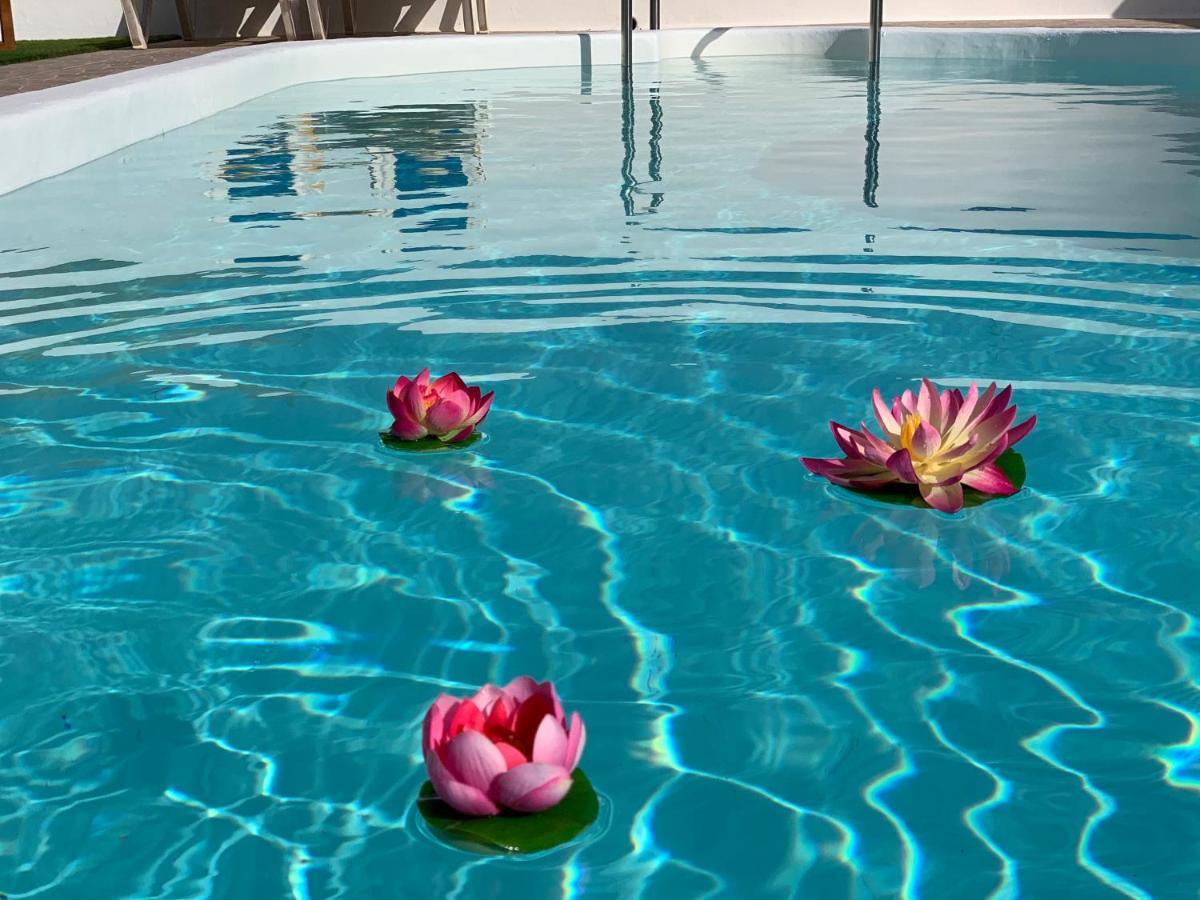 Pico Partido Villa Heated Pool Tinguaton Buitenkant foto